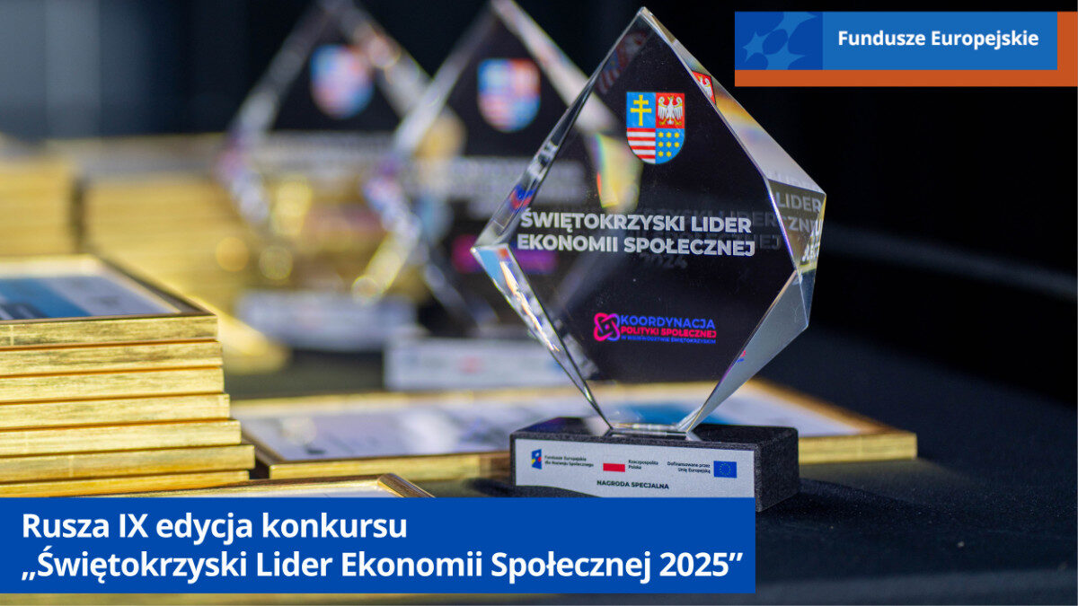 Grafika na stronę koordynacja.swietokrzyskie.pro – 135